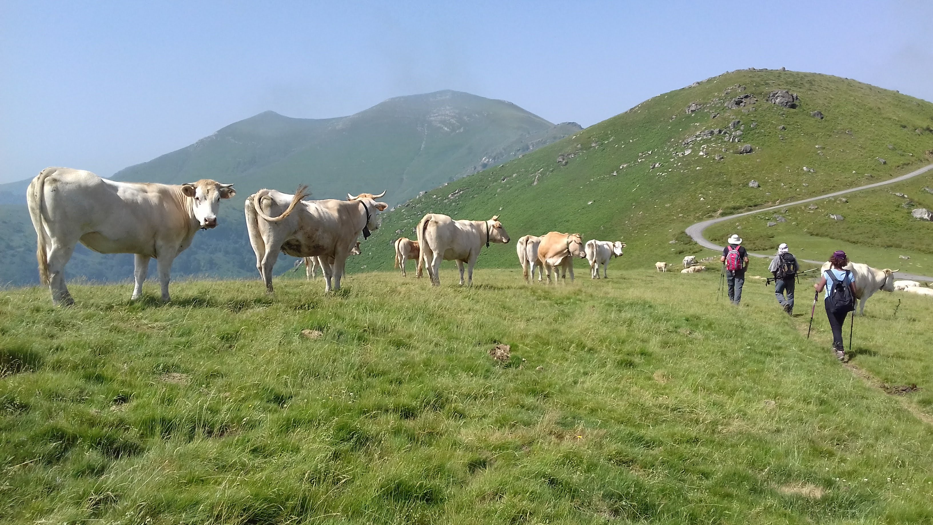 Photo n° 6 de l'avis de Breizh.b fait le 28/06/2019 à 20:06