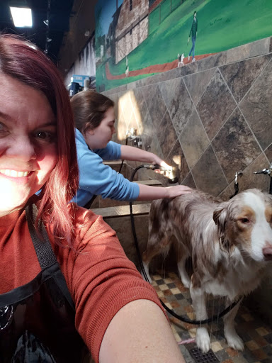 Pet Store «Pet Valu», reviews and photos, 7875 Heneska Loop, Alexandria, VA 22315, USA