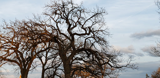 Park «McCullough Park», reviews and photos, W Illinois Ave, Aurora, IL 60506, USA