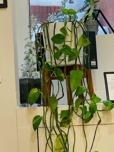 Hair Salon «Viselli Salon», reviews and photos, 297 Newbury St, Boston, MA 02115, USA