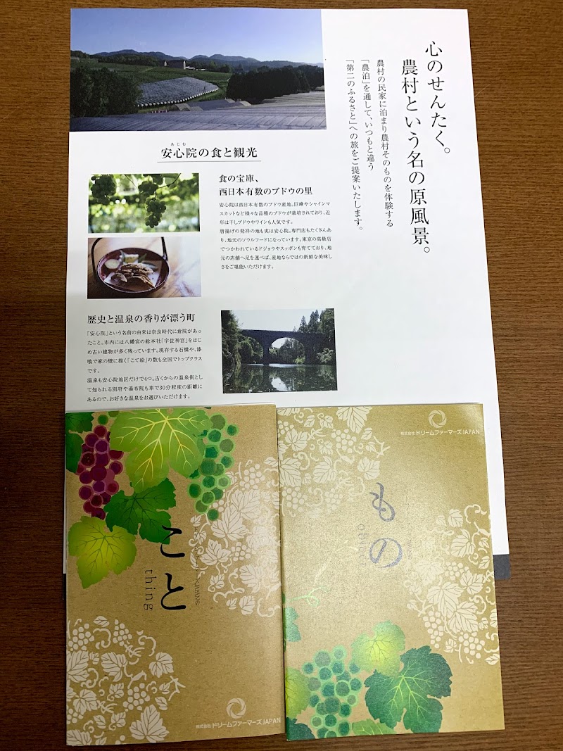 王さまのぶどう本店 大分県宇佐市安心院町下毛 土産物店 飲食店 グルコミ