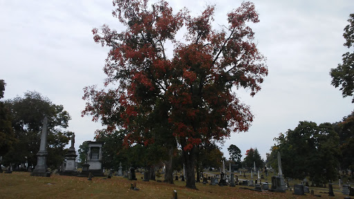 Cemetery «Mount Olivet Funeral Home and Cemetery», reviews and photos, 1101 Lebanon Pike, Nashville, TN 37210, USA