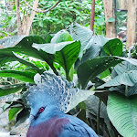 Photo n° 4 de l'avis de Alex. fait le 16/05/2023 à 15:22 pour ZooParc de Beauval à Saint-Aignan