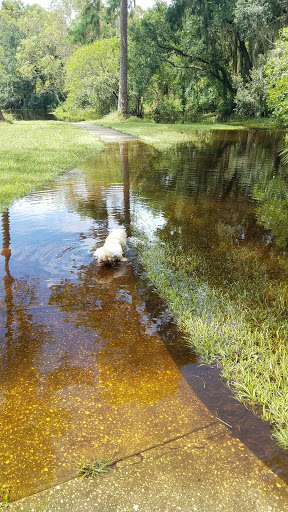 Park «Boyette Springs Park», reviews and photos, 10423-10425 Deepbrook Dr, Riverview, FL 33569, USA