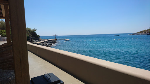 Anhinga Restaurant, Beach And Bar