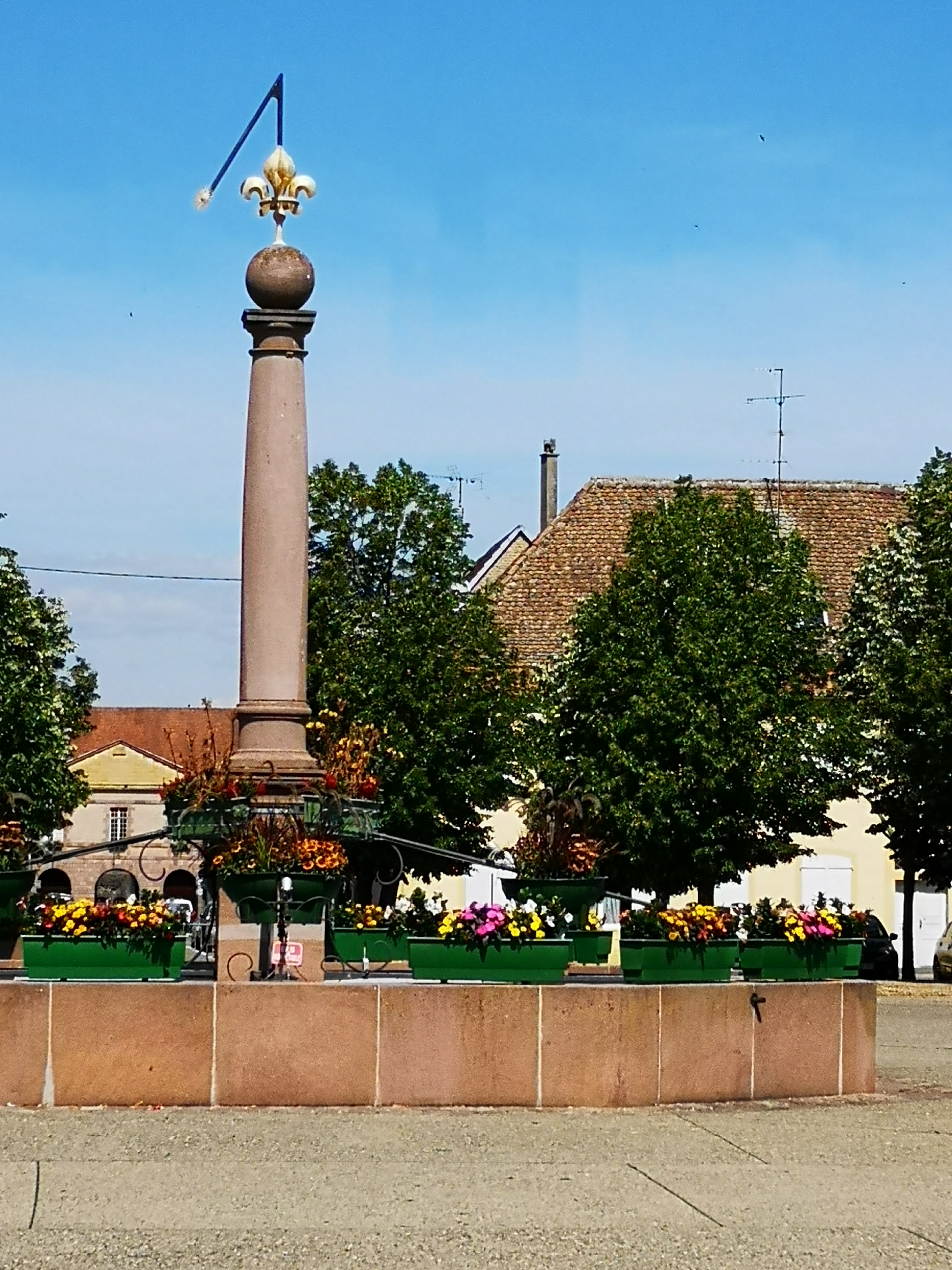 Photo n° 12 de l'avis de Marie.a fait le 19/07/2020 à 10:11