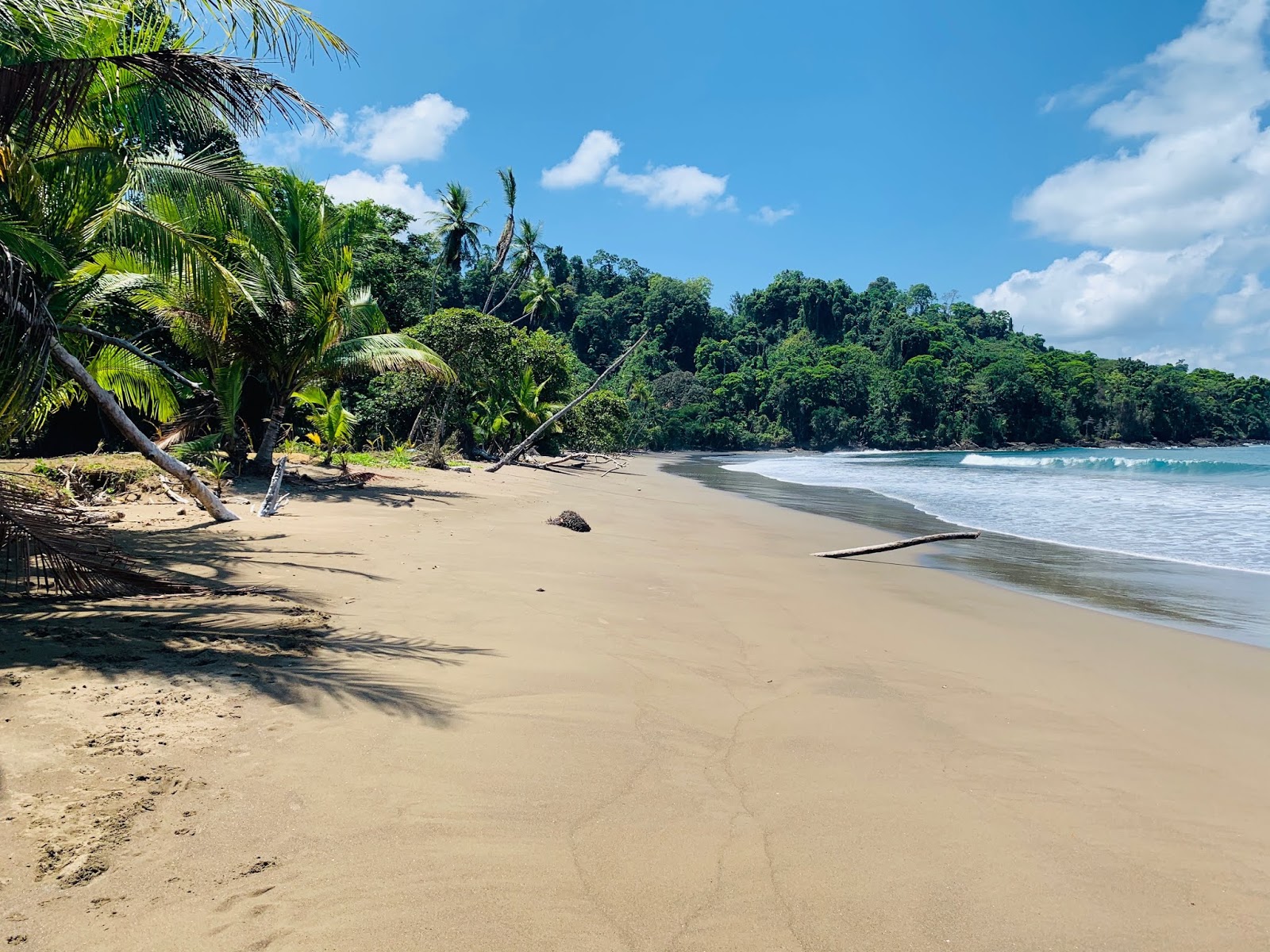 San Josecito Rincon Beach'in fotoğrafı düz ve uzun ile birlikte