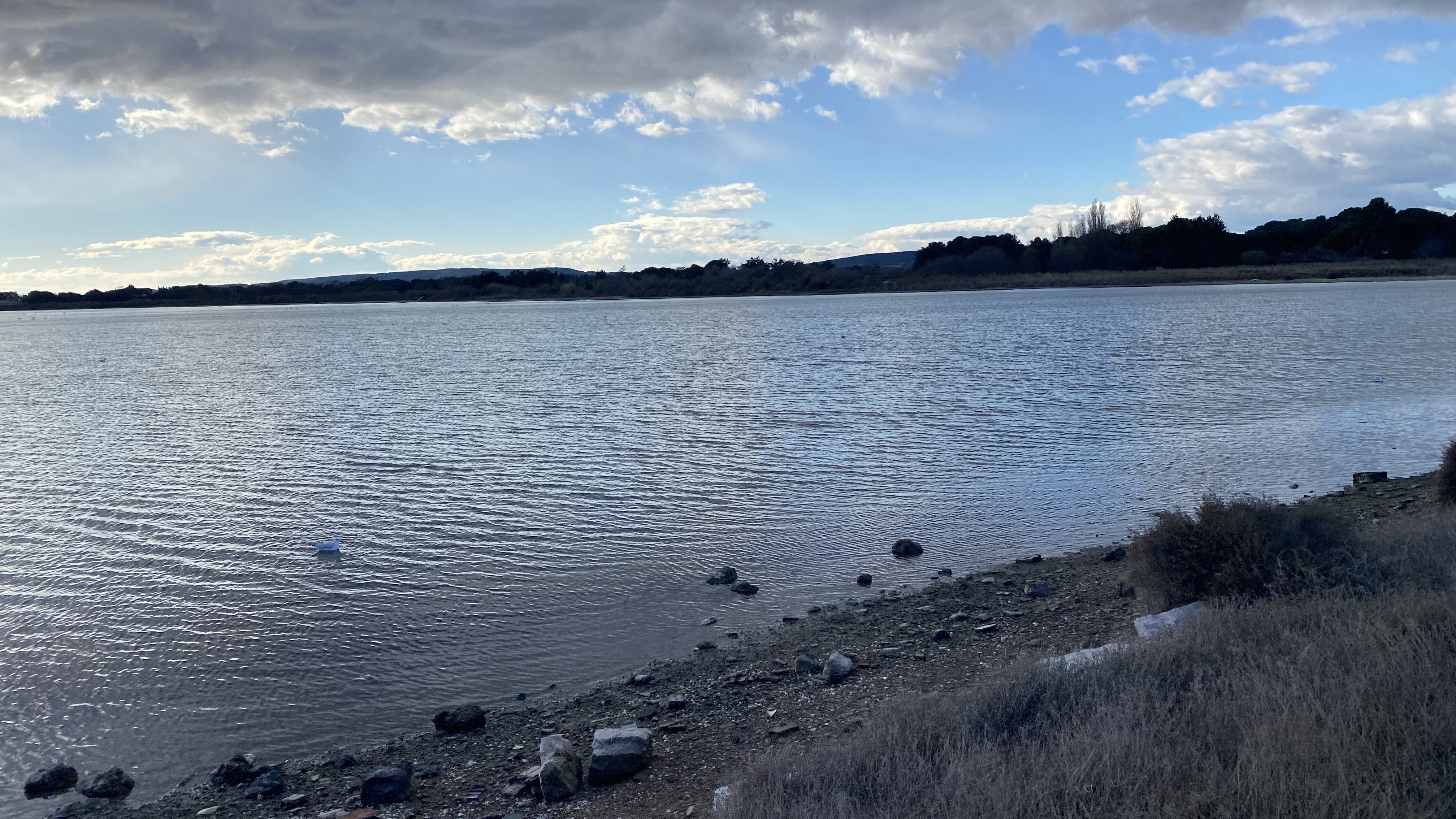 Photo n° 5 de l'avis de severine.e fait le 21/01/2023 à 18:01