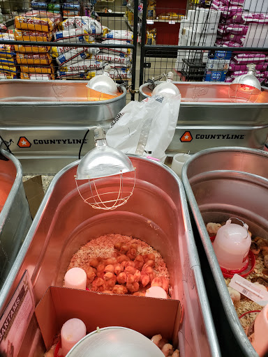 Home Improvement Store «Tractor Supply Co.», reviews and photos, 4724 Penn Ave a, Reading, PA 19608, USA