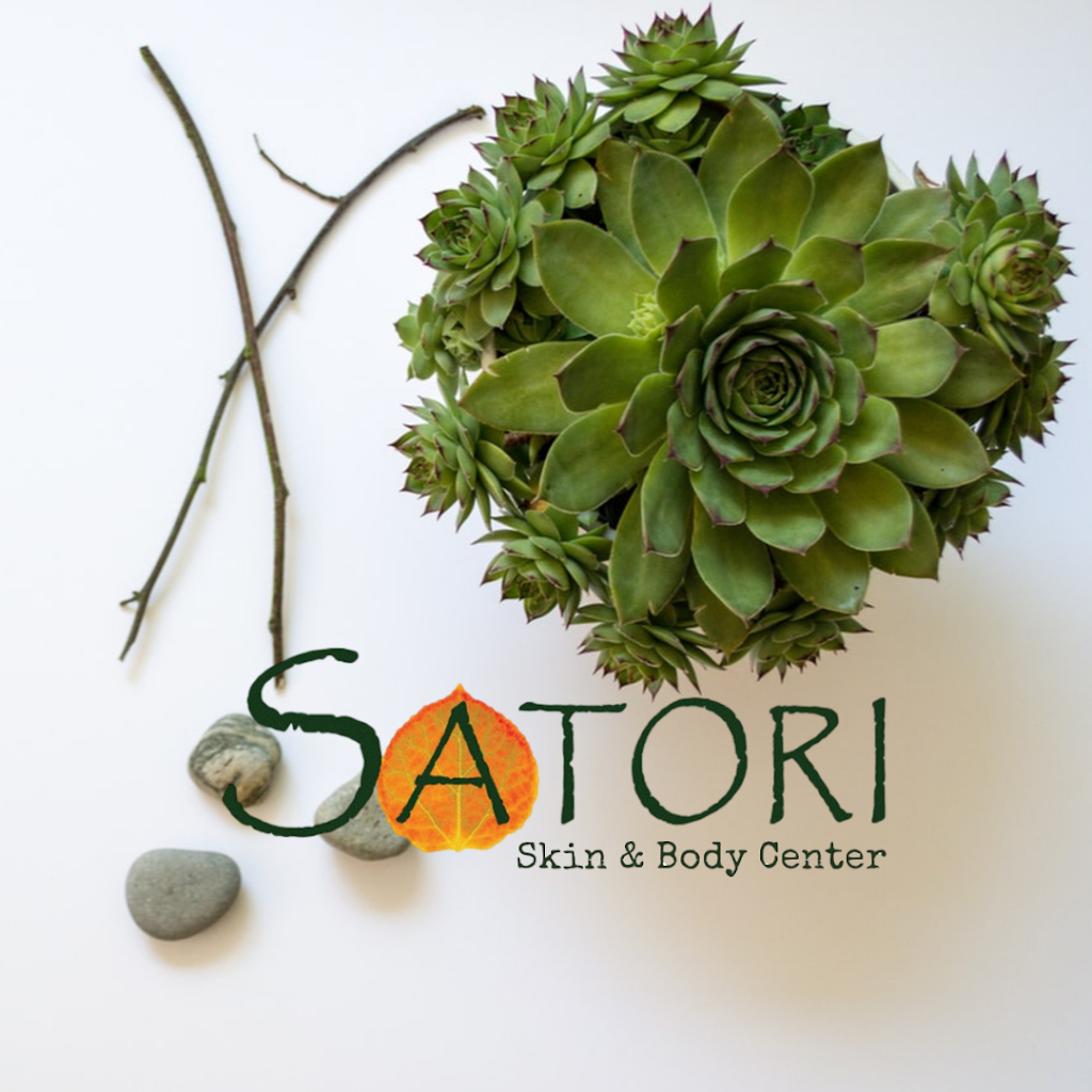 Satori Skin & Body Center 58701
