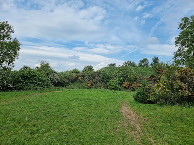 Comments and reviews of Parkhall Country Park
