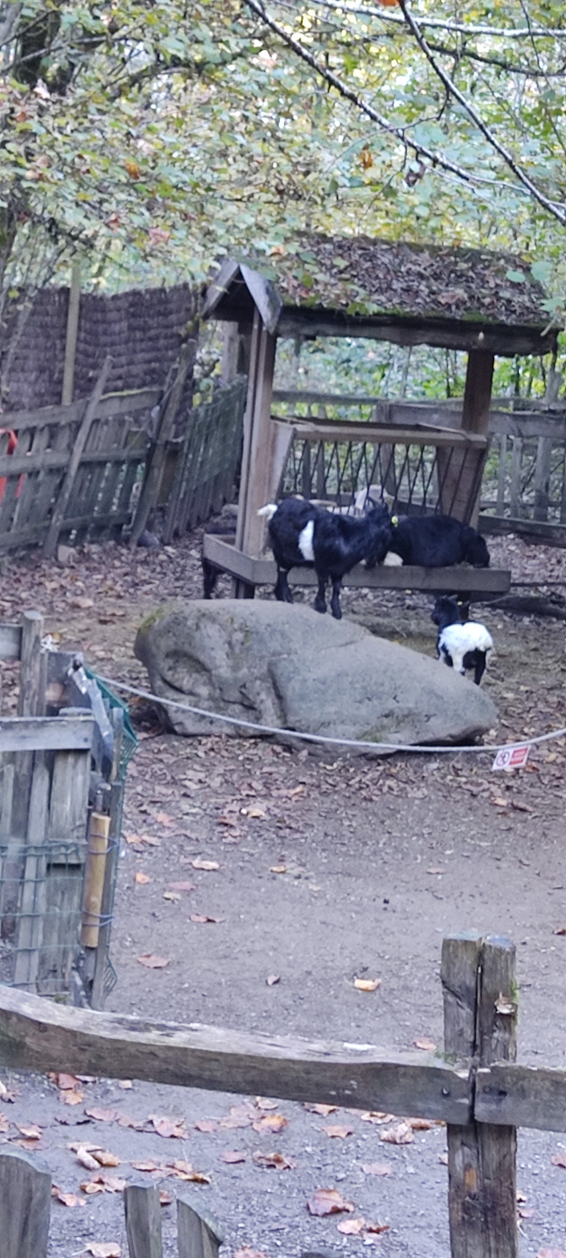 Photo n° 6 de l'avis de Galache.a fait le 27/10/2021 à 15:35