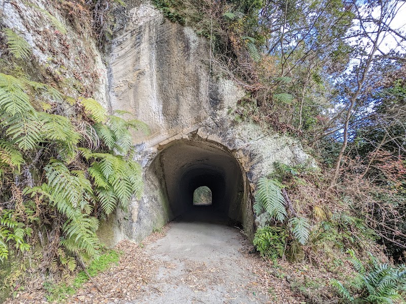 林道畑3号線素掘りトンネル