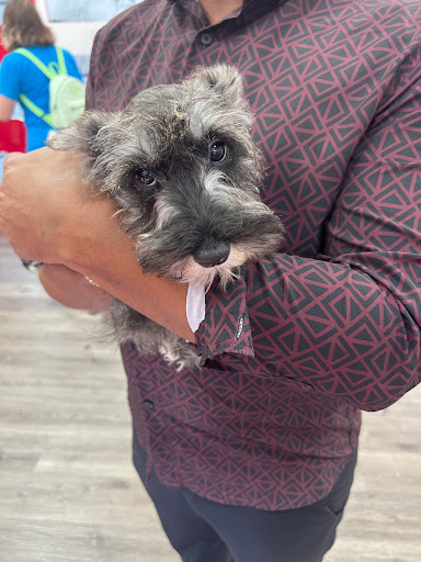 Pet Store «Pet Fair», reviews and photos, 1201 Lake Woodlands Dr, Spring, TX 77380, USA