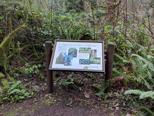 State Park «Bridle Trails State Park», reviews and photos, 5300 116th Ave. N.W., Kirkland, WA 98033, USA