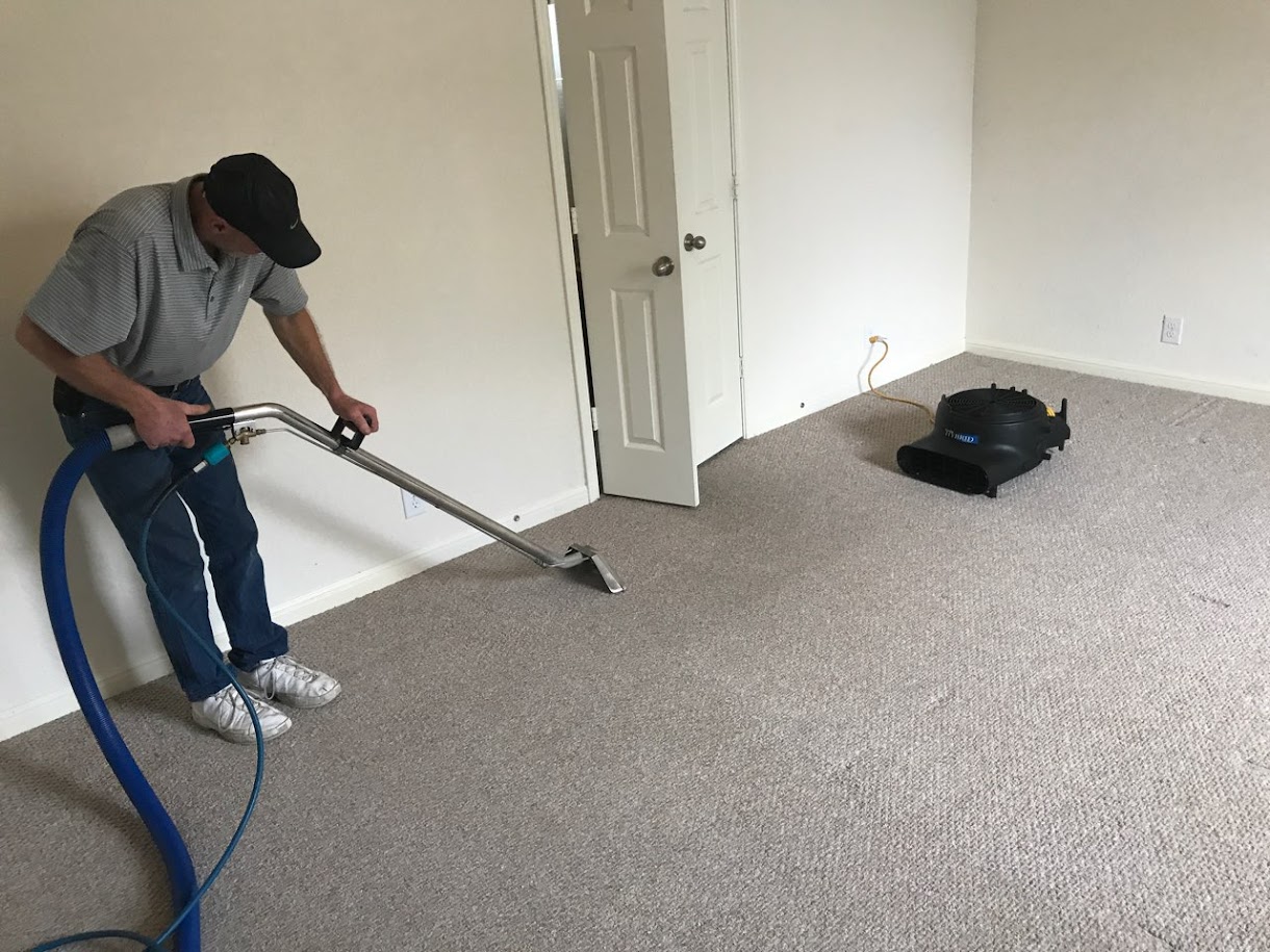 Best Carpet Cleaning Experts
