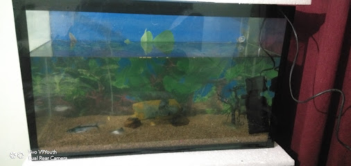Fish Aquarium Center