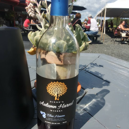 Winery «Autumn Harvest Winery and Orchard», reviews and photos, 19947 Co Hwy J, Chippewa Falls, WI 54729, USA