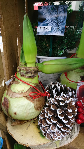 Supermarket «Hy-Vee», reviews and photos, 1914 8th St, Coralville, IA 52241, USA