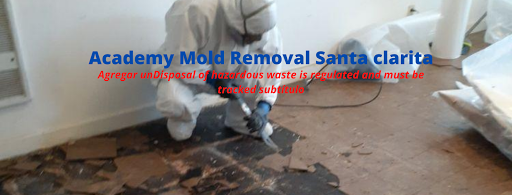 Academy Mold Removal Santa Clarita