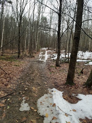 Androscoggin Riverlands State Park - photo 12