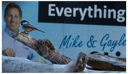 Waterproofing Company «Ohio Basement Systems», reviews and photos