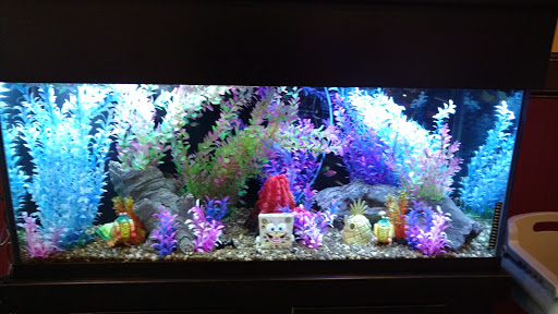 Bowling Alley «Port Jervis Bowl», reviews and photos, 17 W Main St, Port Jervis, NY 12771, USA