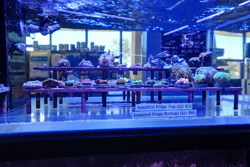 Aquarium «Artistic Aquariums, Inc», reviews and photos, 3400 N Arizona Ave #111, Chandler, AZ 85225, USA