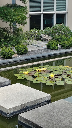 Public Golf Course «Audubon Park Golf Course», reviews and photos, 4160 Park Ave, Memphis, TN 38117, USA