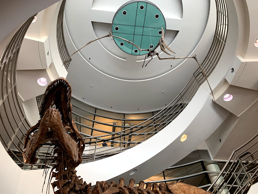 Natural History Museum «Museum of Paleontology», reviews and photos, 1101 Valley Life Sciences Bldg, Berkeley, CA 94720, USA