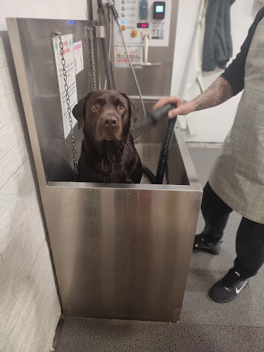 LagoCan autolavado y peluquería de Mascotas en Laguna de Duero, Valladolid