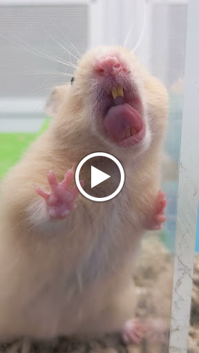 Pet Supply Store «Petco Animal Supplies», reviews and photos, 2001 15th Ave W b, Seattle, WA 98119, USA