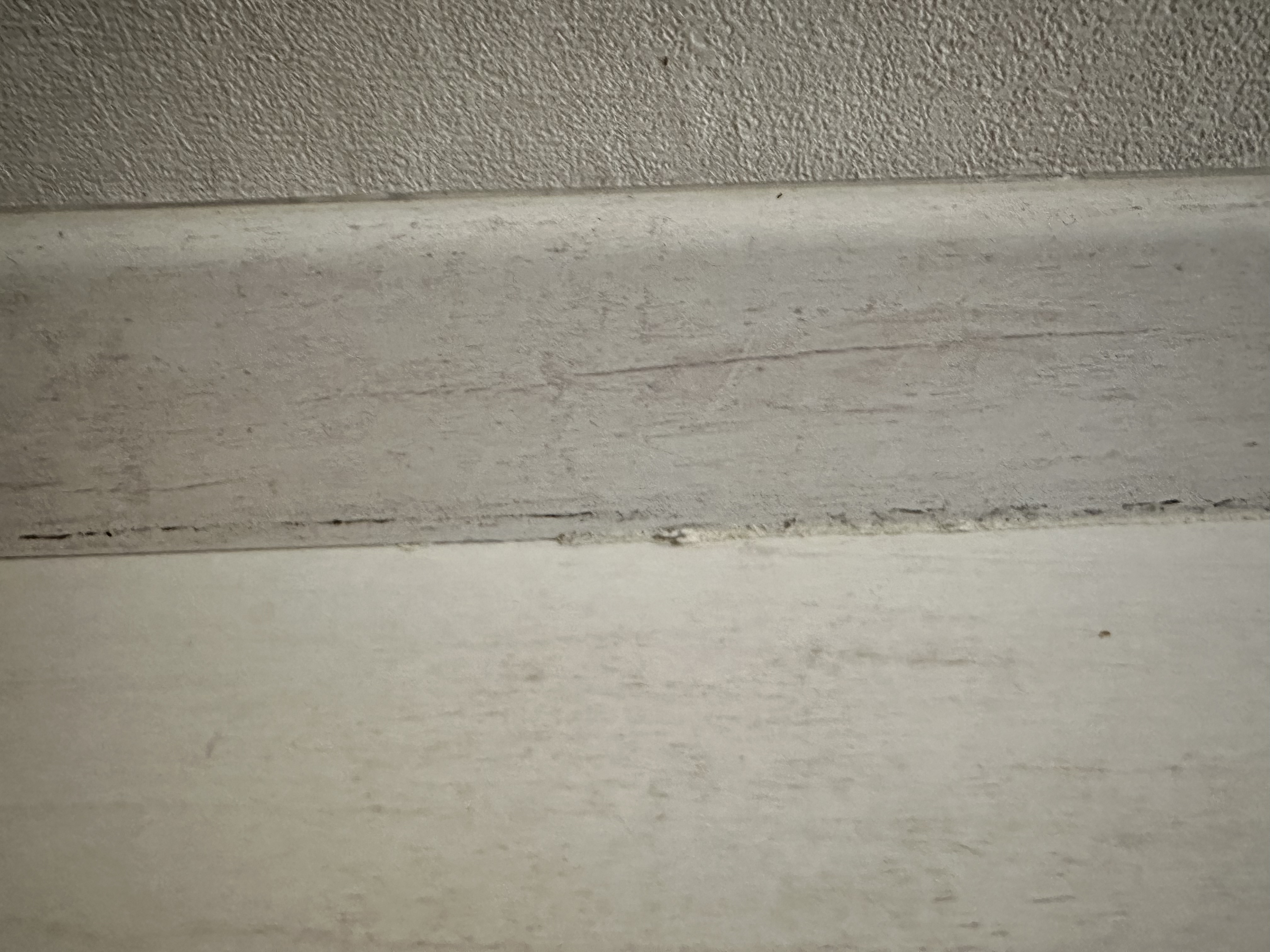 Photo n° 4 de l'avis de Maloue. fait le 29/01/2024 à 16:54