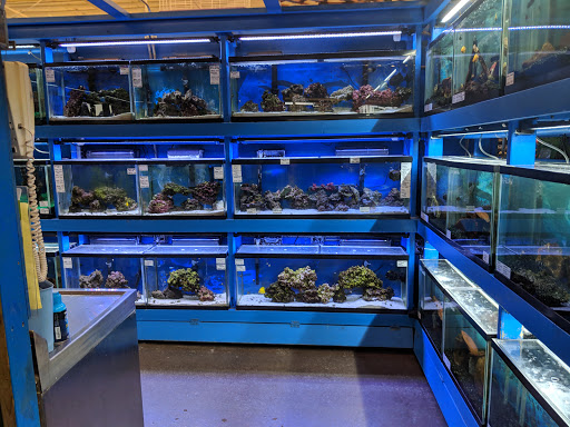 Pet Supply Store «Atlas Pet Supply», reviews and photos, 12761 Central Ave NE, Blaine, MN 55434, USA