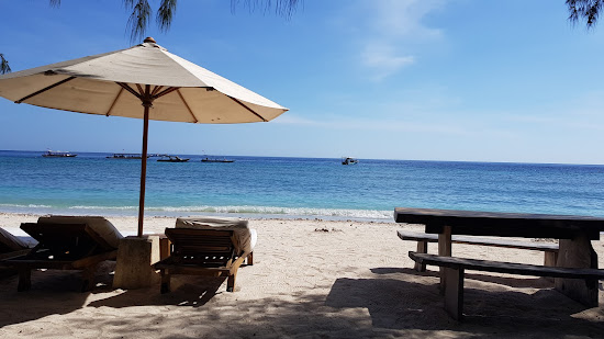 Gili Trawangan Turtle Shore