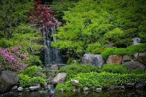Anderson Japanese Gardens image