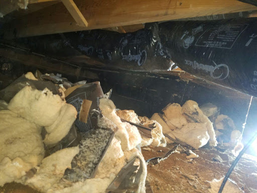 Construction Company «Indiana Crawl Space Repair», reviews and photos