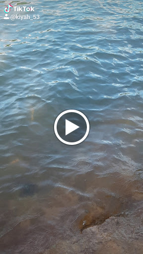 Warehouse club «BJ’s Wholesale Club», reviews and photos, 1433 Boone Station Dr, Burlington, NC 27215, USA