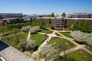 DePaul University image