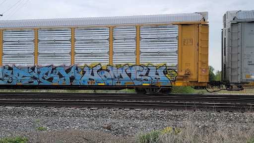 Advanced Auto Images en Northwood