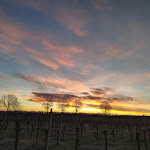 Photo n°3 de l'avis de valentina.a fait le 11/03/2023 à 10:18 sur le  Agriturismo e Cantina la Sabbiona à Faenza