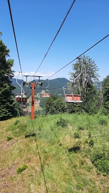 Telescaun Şuior