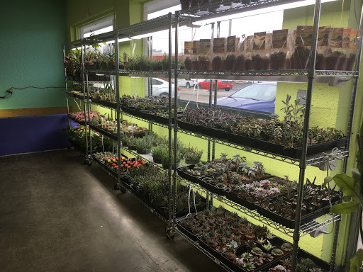 Pet Store «Tye-Dyed Iguana - Reptiles», reviews and photos, 1905 W U.S. 50, Fairview Heights, IL 62208, USA