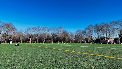 Kosmos Soccer Field