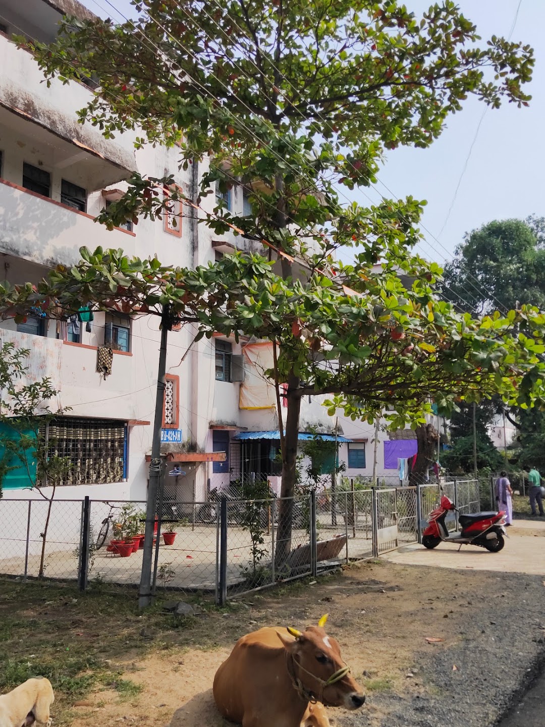Badami Bagh Colony