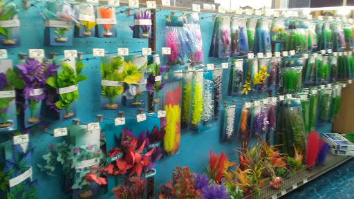 Pet Supply Store «Petco Animal Supplies», reviews and photos, 17200 Southcenter Pkwy #100, Tukwila, WA 98188, USA