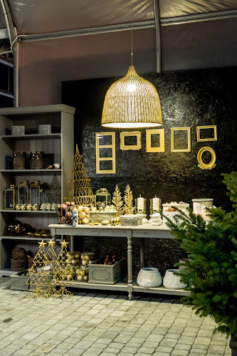 Ogrody Zofii Centrum Ogrodnicze