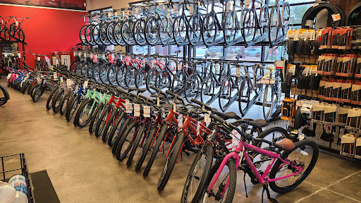 Bicycle Store «Global Bikes - Bike Shop Chandler South», reviews and photos, 1055 S Arizona Ave #9, Chandler, AZ 85286, USA