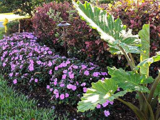 Country Club «Lely Resort Golf & Country Club», reviews and photos, 8004 Lely Resort Blvd, Naples, FL 34113, USA