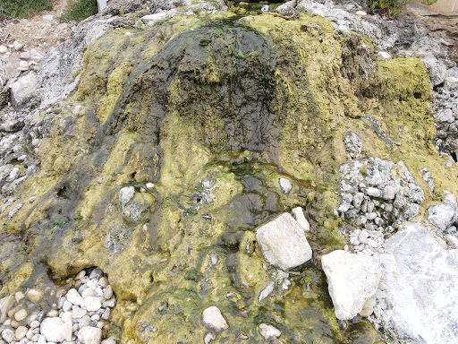 Club «Palos Verdes Beach & Athletic Club», reviews and photos, 389 Paseo Del Mar, Palos Verdes Peninsula, CA 90274, USA